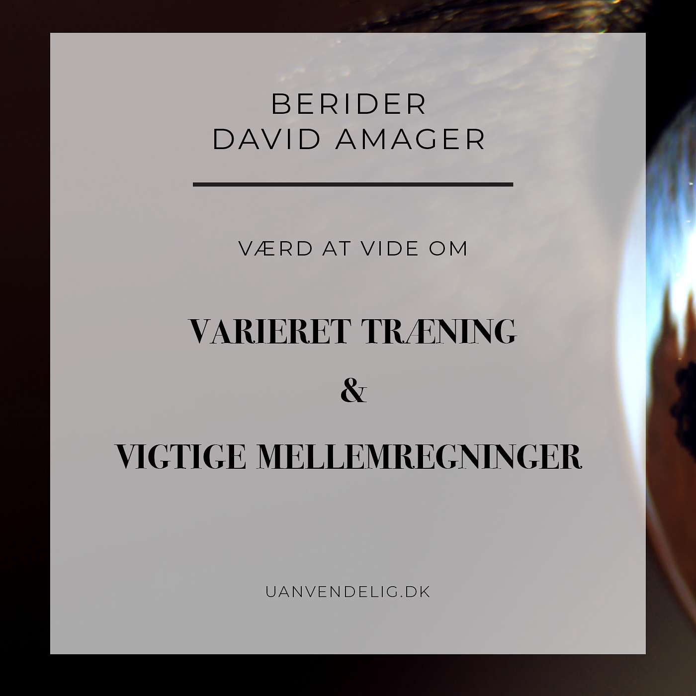 Uanvendelig eller Ridehest