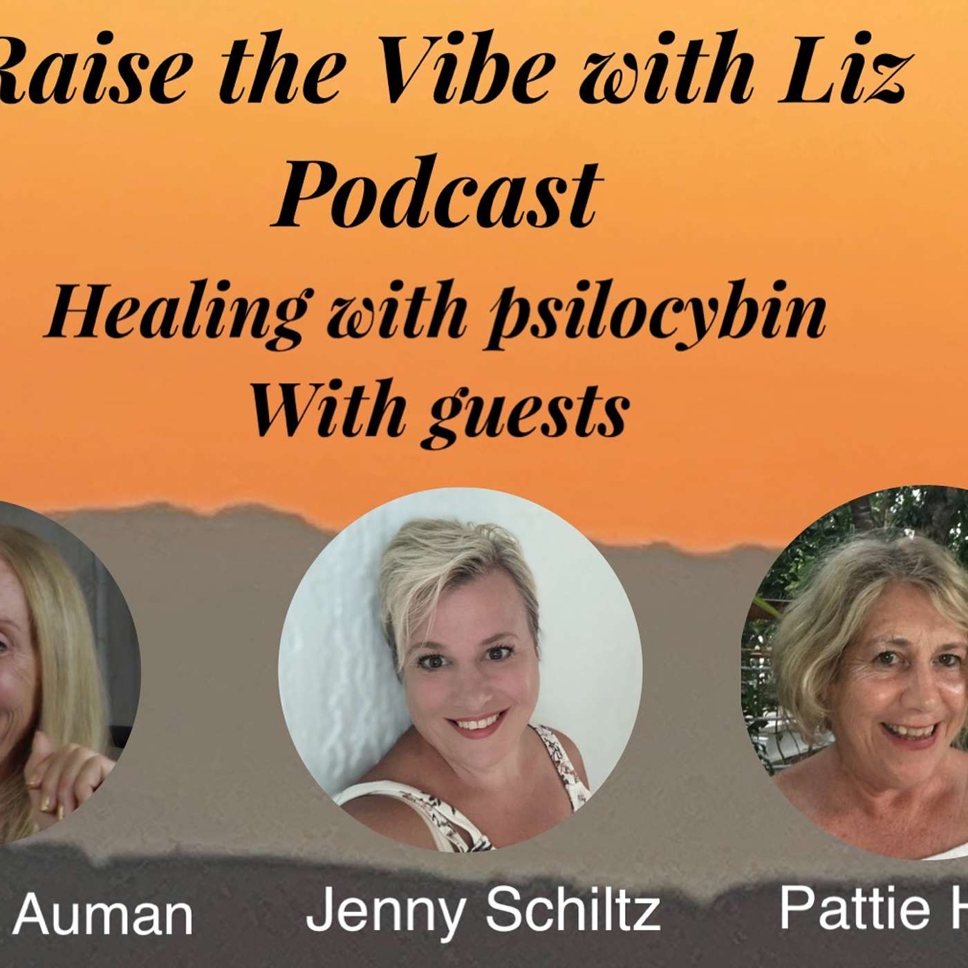 Healing with Psilocybin Panel Discussion, with guests Catherine Auman, Jenny Schiltz, Pattie Hanmer episode artwork