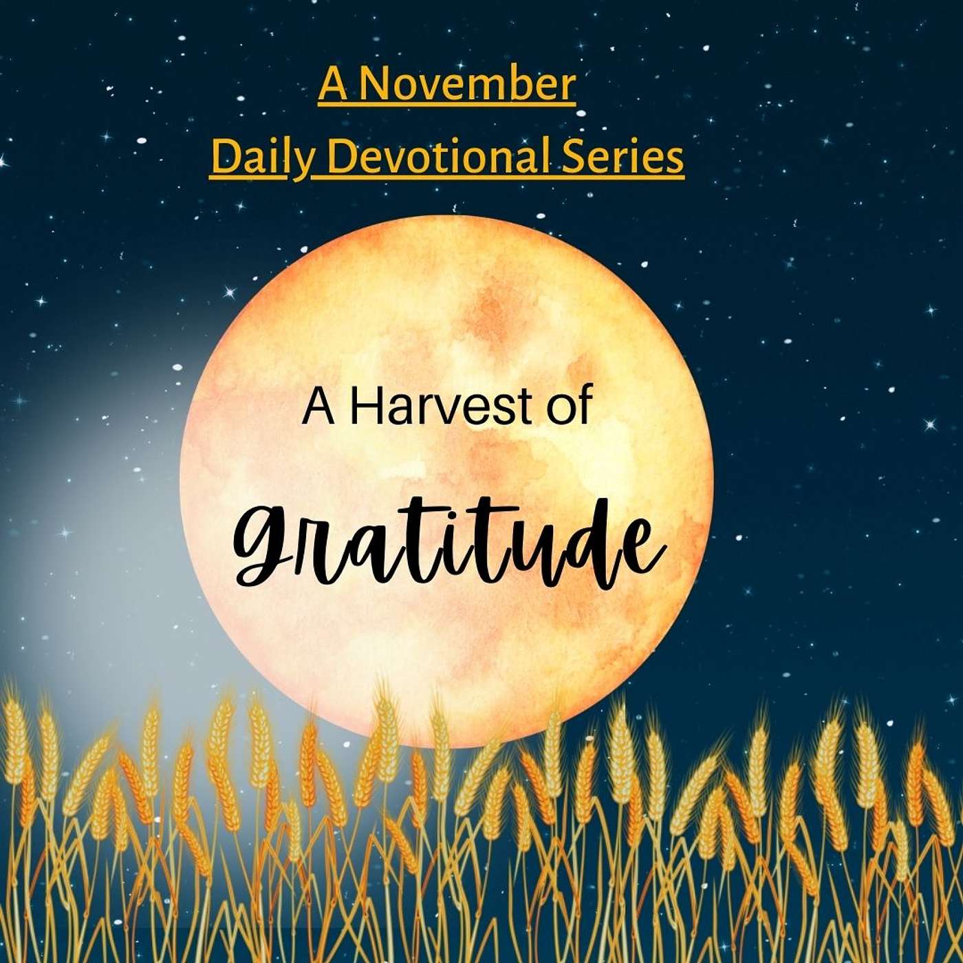 Spiritual Leaders: Day 19 of A Harvest of Gratitude episode artwork