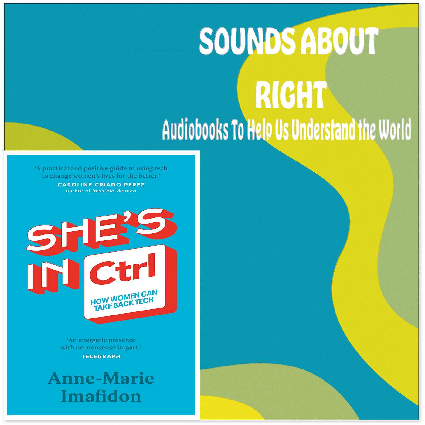 Sounds About Right: Audiobooks to Help Us Understand the World
