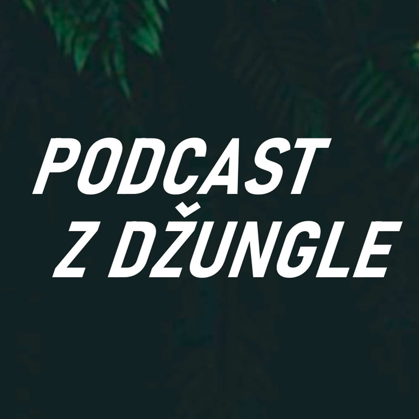 Podcast z džungle