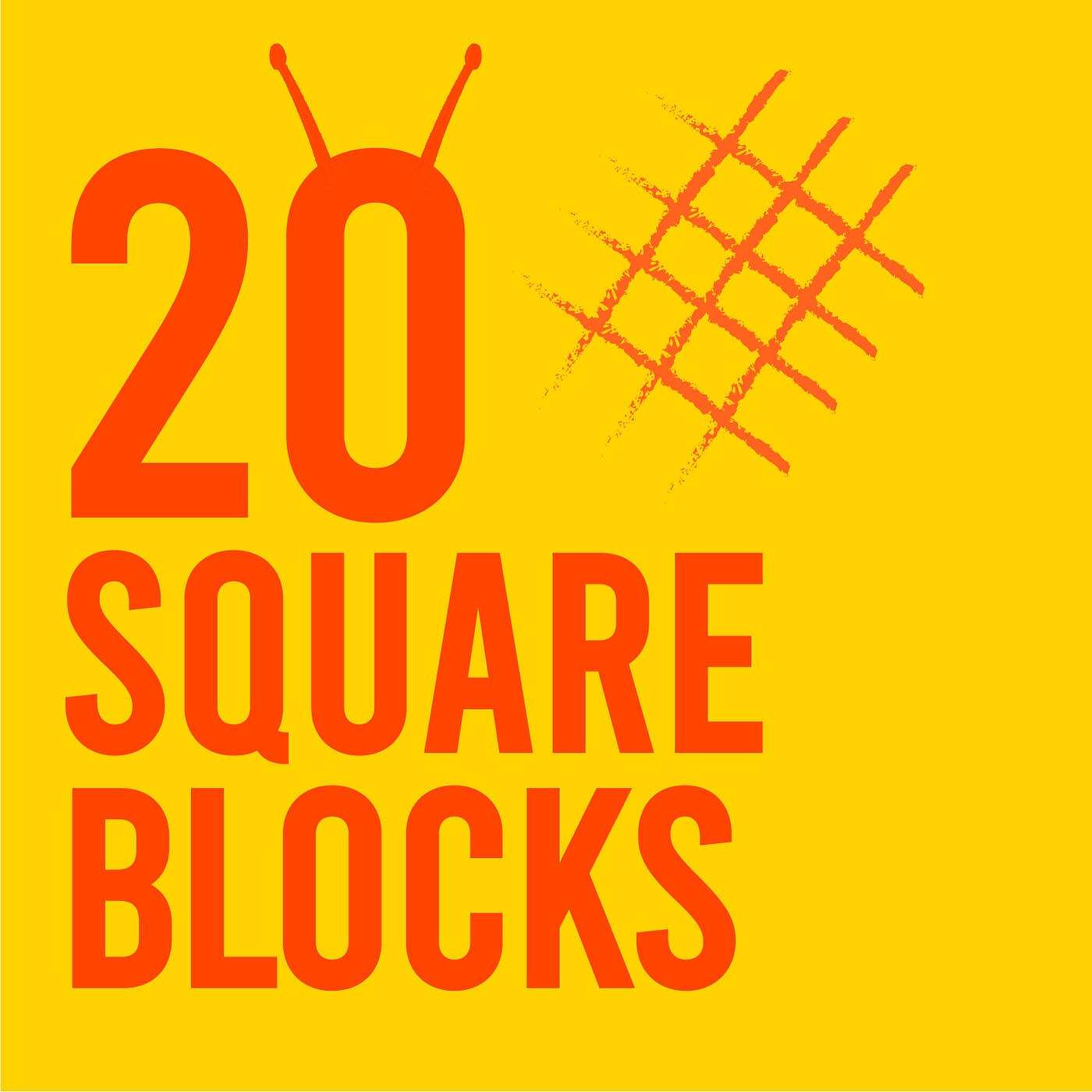 20 Square Blocks