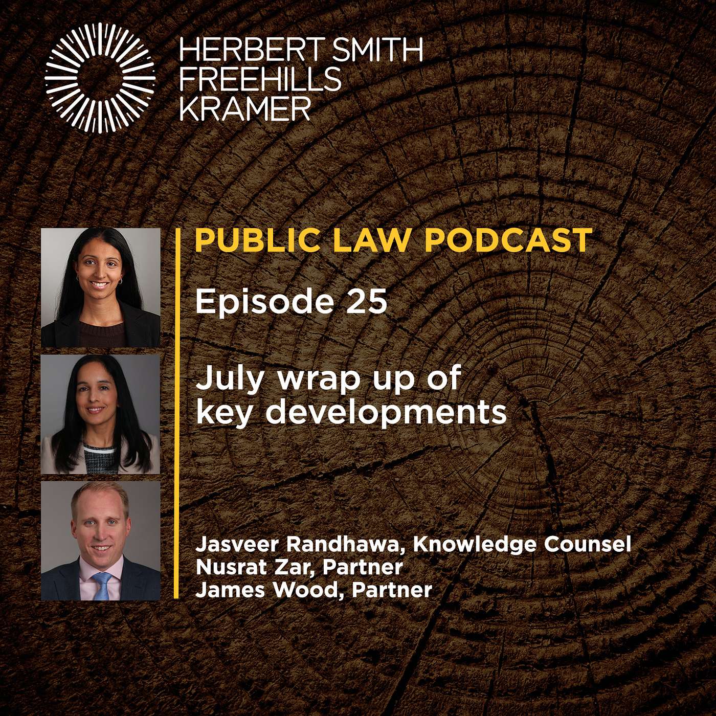 Public Law Podcast EP25: July wrap up of key developments episode artwork