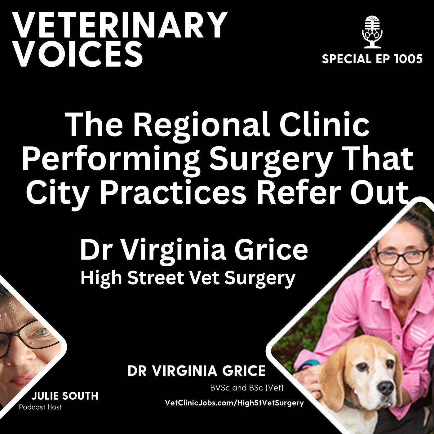 High Street Vet Surgery - The Regional Clinic Performing Surgery That City Practices Refer Out - Dr Virginia Grice - ep.1005