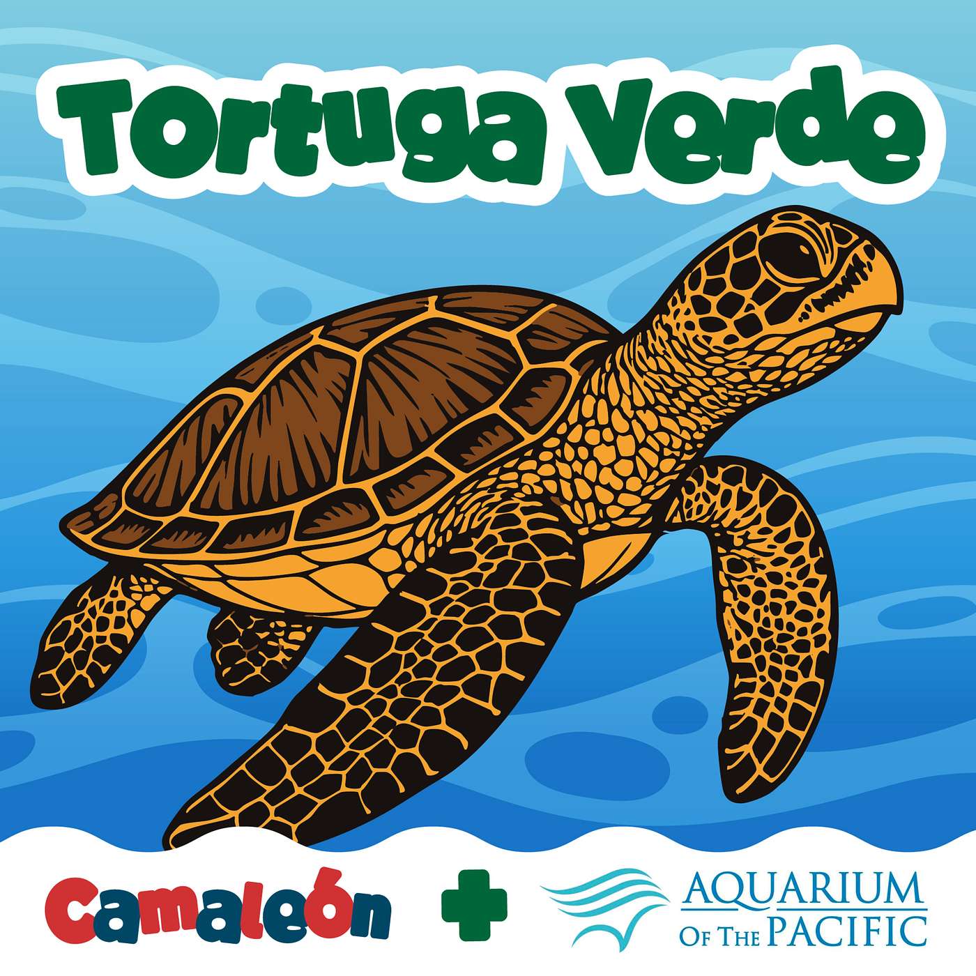Tortuga verde: el secreto del color por dentro episode artwork