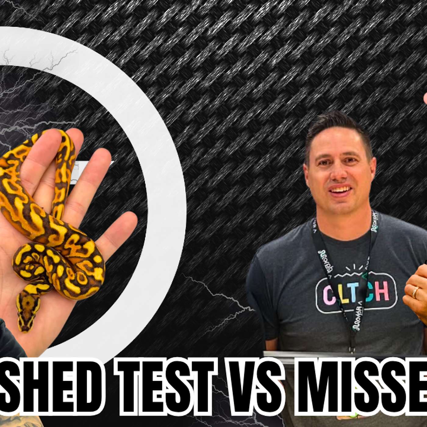 How You Can Save Time & Money With Ball Python Shed Testing