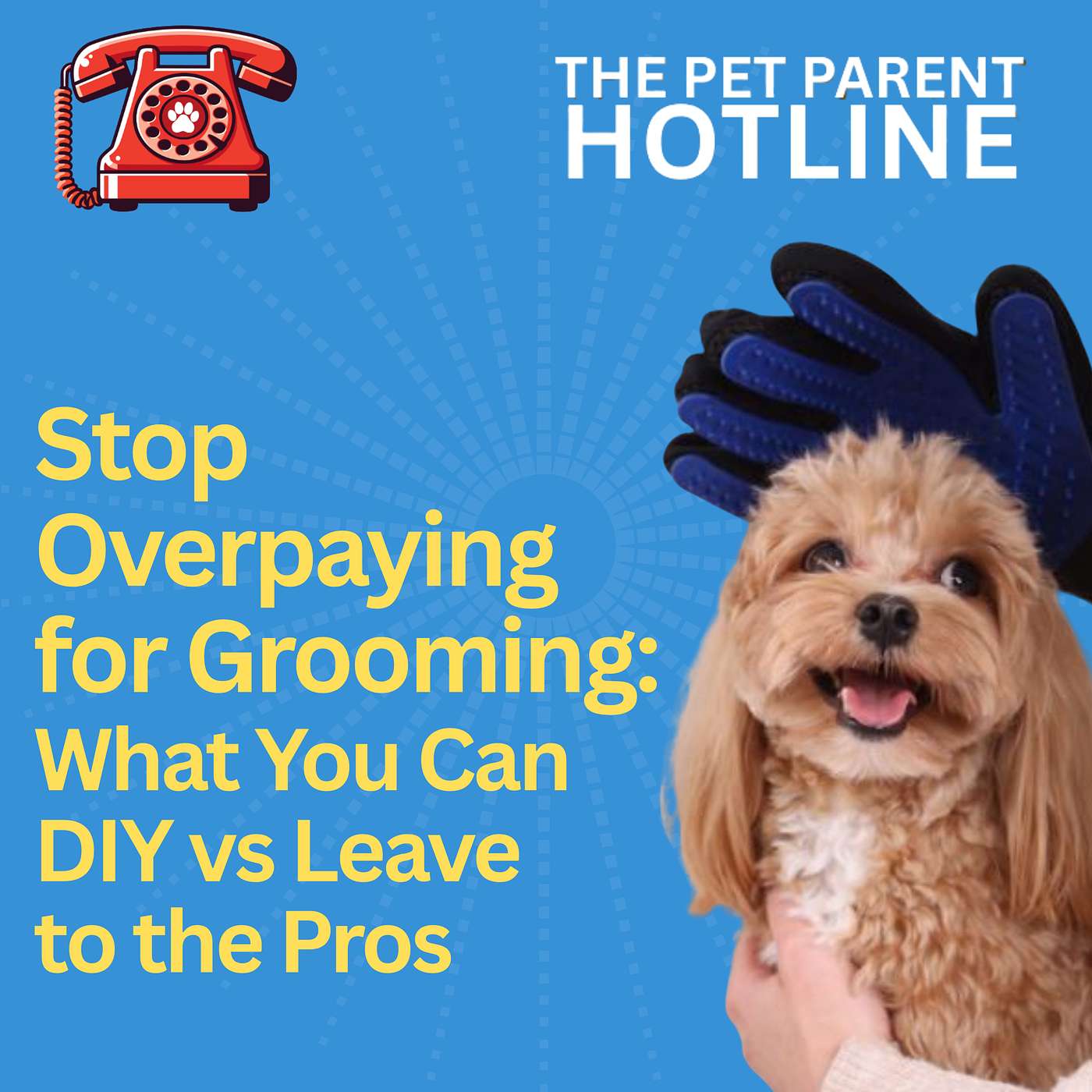 Stop Overpaying for Grooming: What You Can DIY vs Leave to the Pros