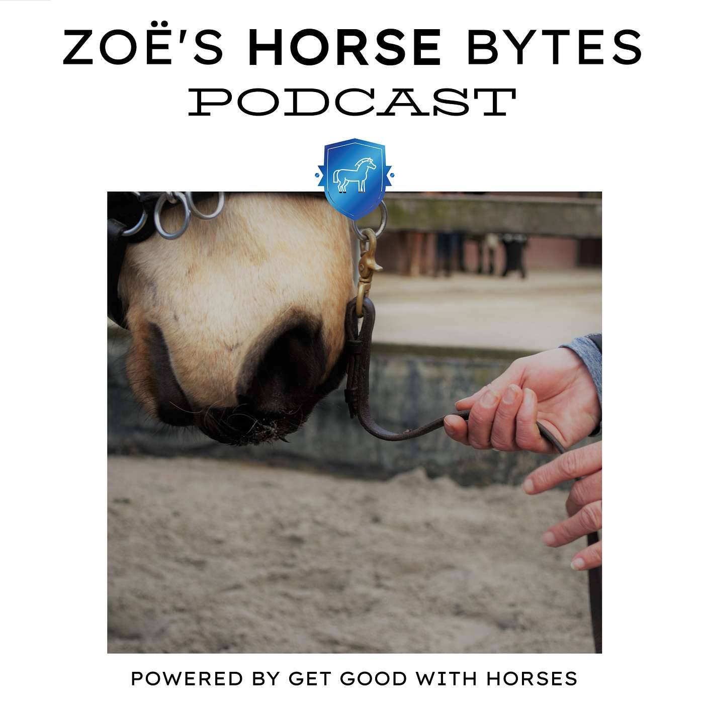 56. Trauma in horses episode artwork