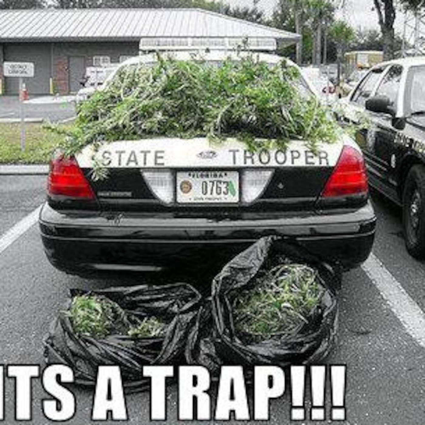 Hempisode #24- The SoCal Miracle via Cannabee & a Voice From The "Otherside" episode artwork