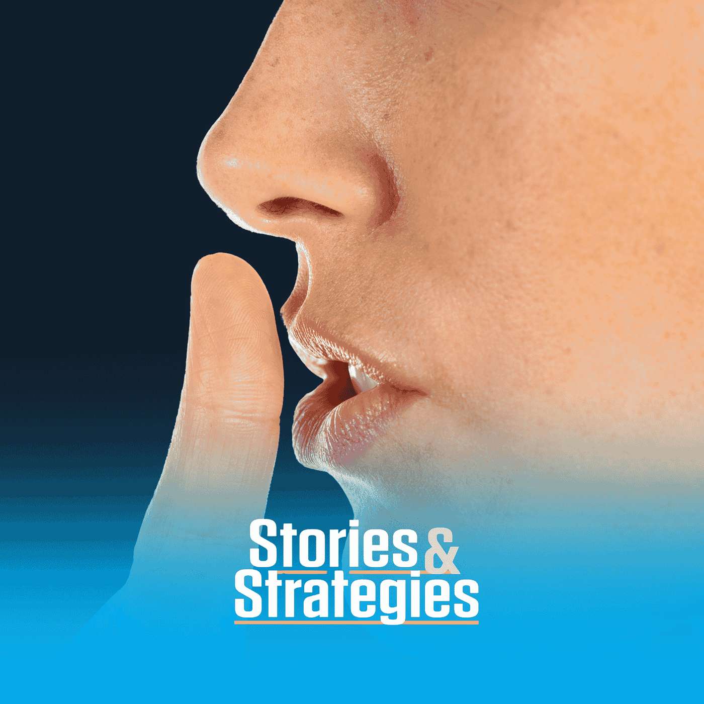 Public Relations Stories and Strategies