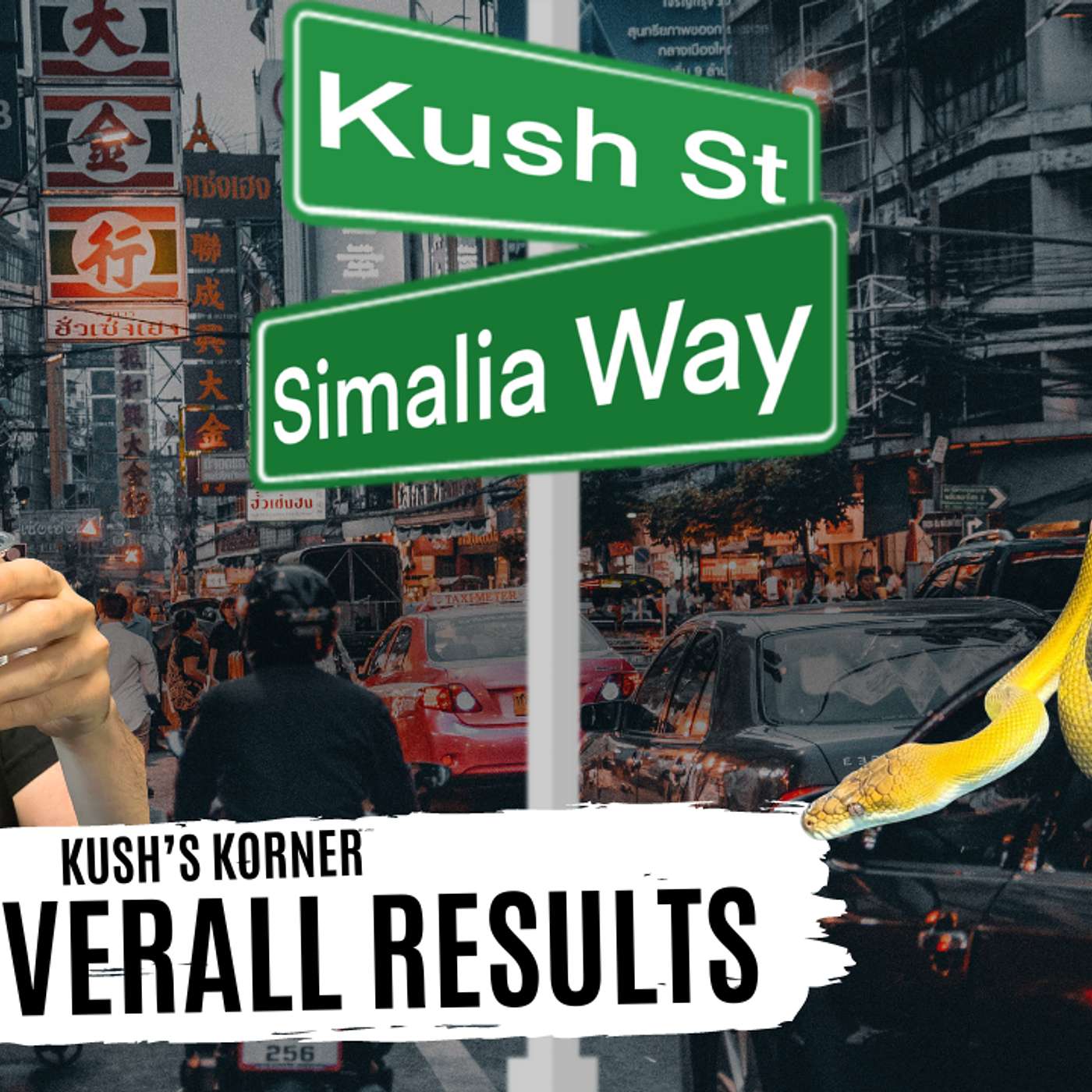 OVERALL BREEDING RESULTS FOR THE 2024 SCRUB PYTHON SEASON | KUSH'S KORNER LIVE