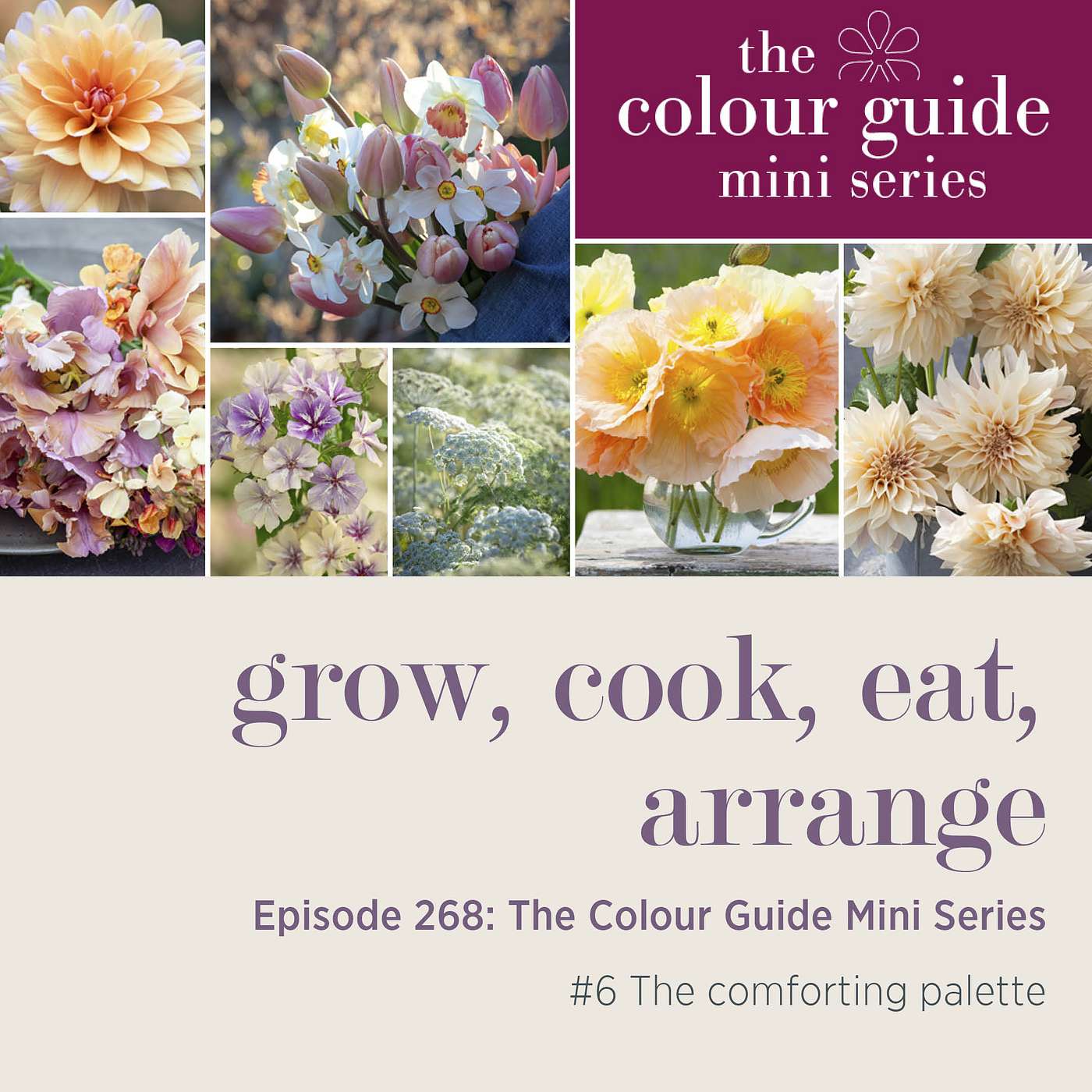 The Colour Guide Mini Series: The comforting palette - Episode 268
