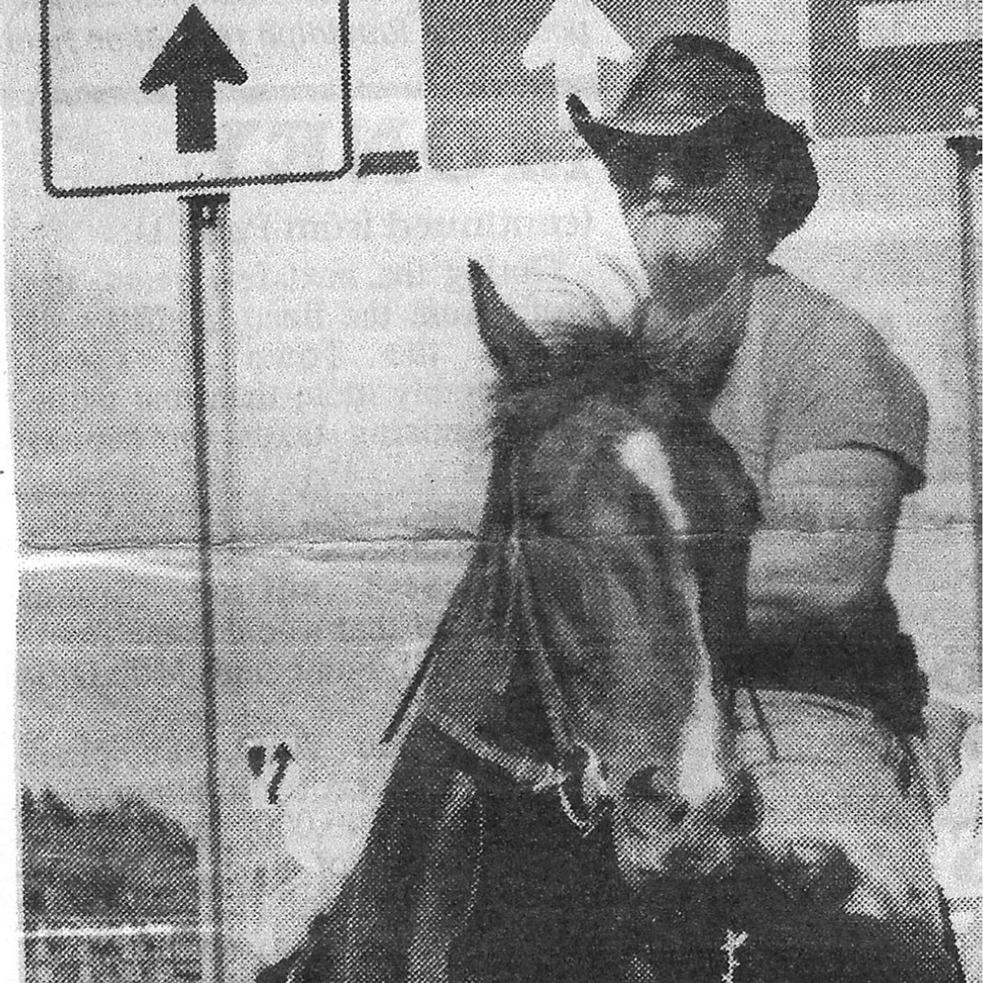 MULE TALK! THE PODCAST ABOUT MULES, MULE TRAINING, AND THE MULE INDUSTRY.
