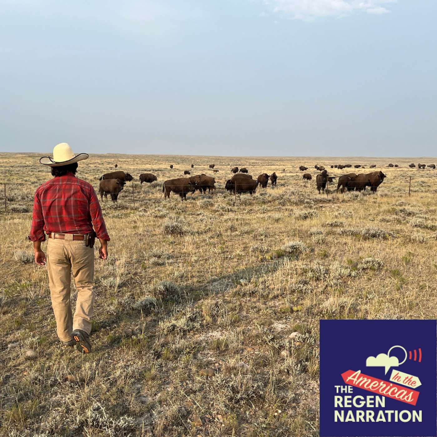 220. The Great Buffalo Restoration on the American Prairie, with ‘world’s top bison wrangler’ Pedro Calderon-Dominguez