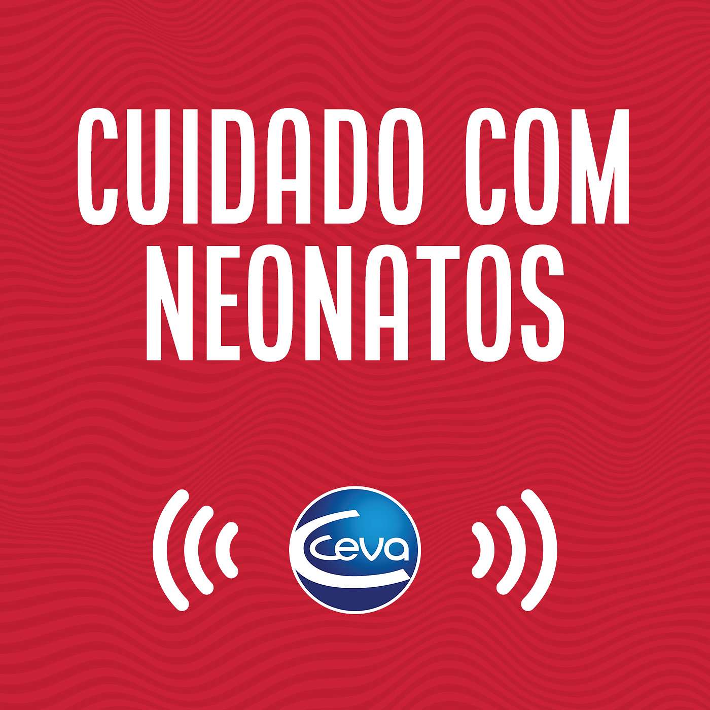 Neonatos equinos #04 A jornada de cuidados do recém-nascido ao desmame episode artwork