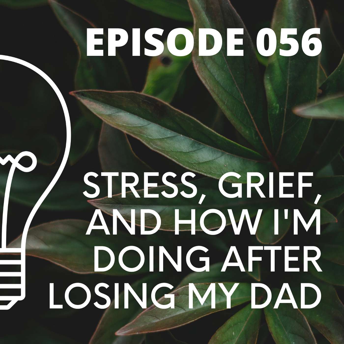 056 - Stress, Grief, and How I'm Doing After Losing My Dad