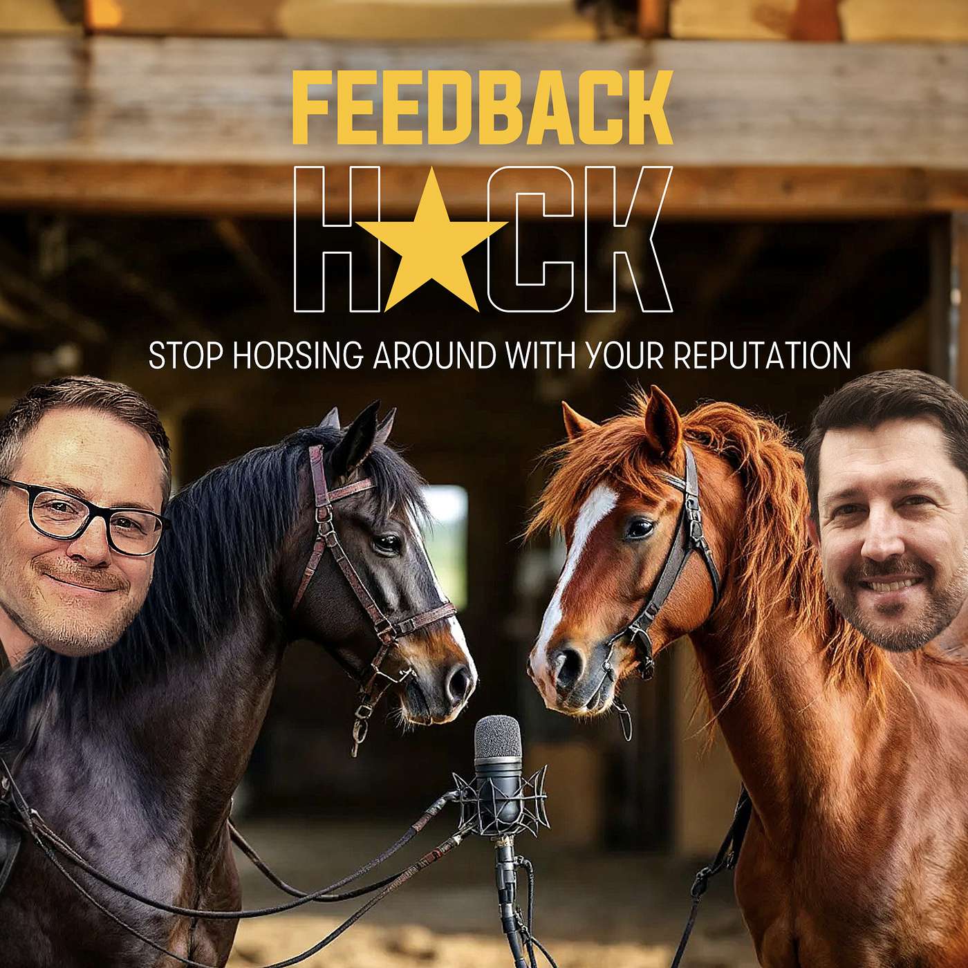 Feedback Hack: Stop Horsing Around w/ your Reputation by Reviews UP