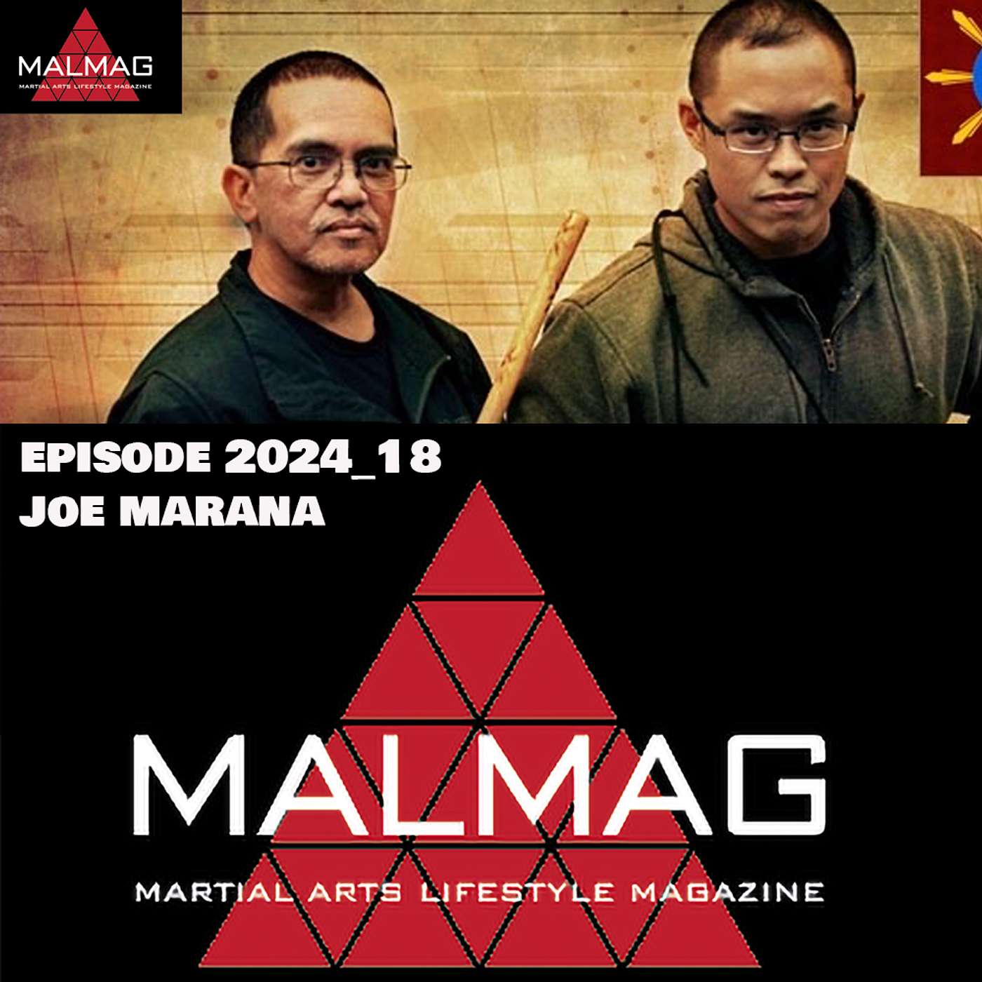 The Martial Arts Lifestyle Podcast