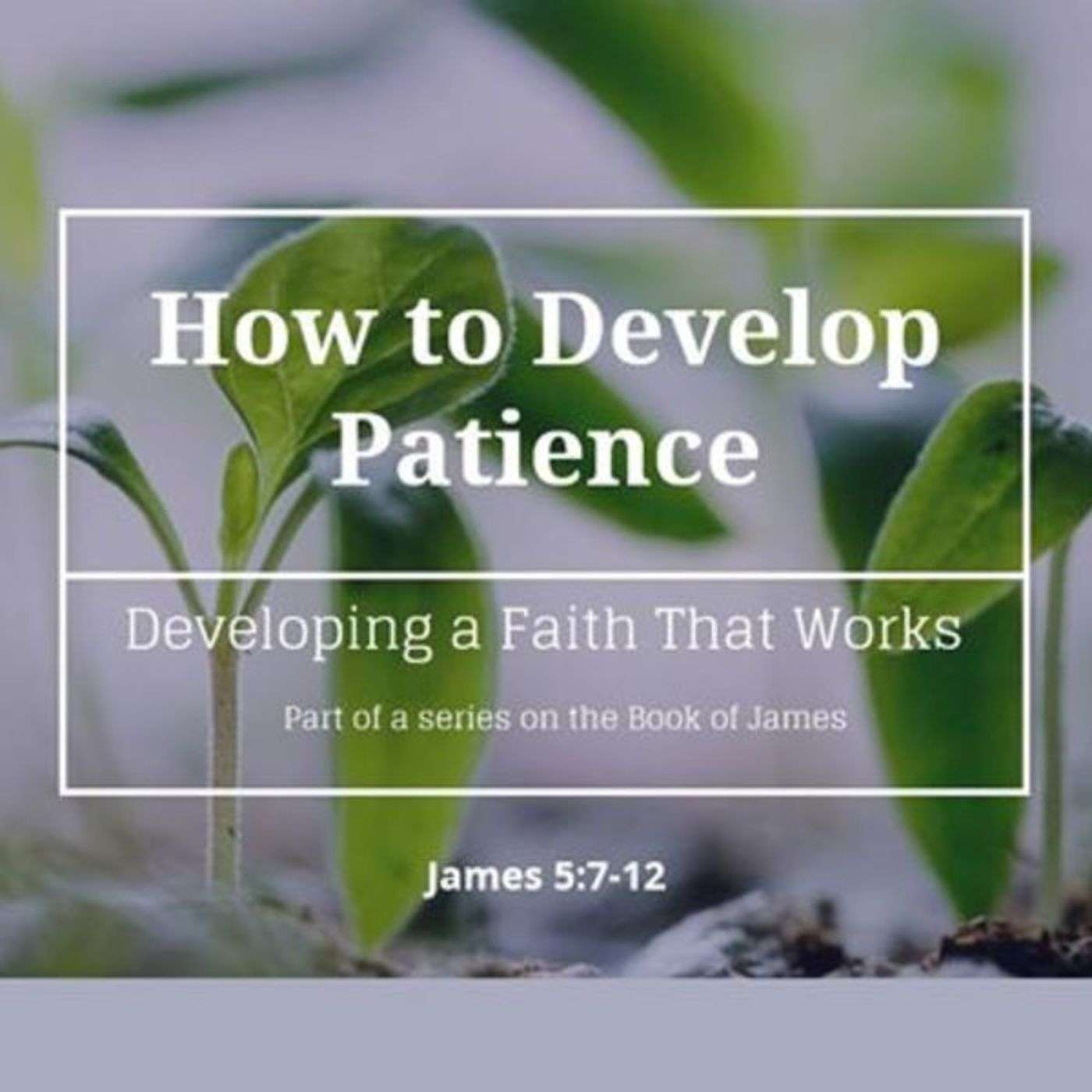How to Develop Patience