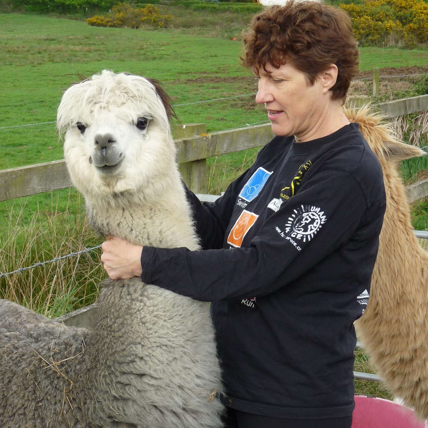 Episode 11 Multisport Agegrouper, Alpaca Farmer, Dancer & Bronze ETU Medalist Jo Parker episode artwork
