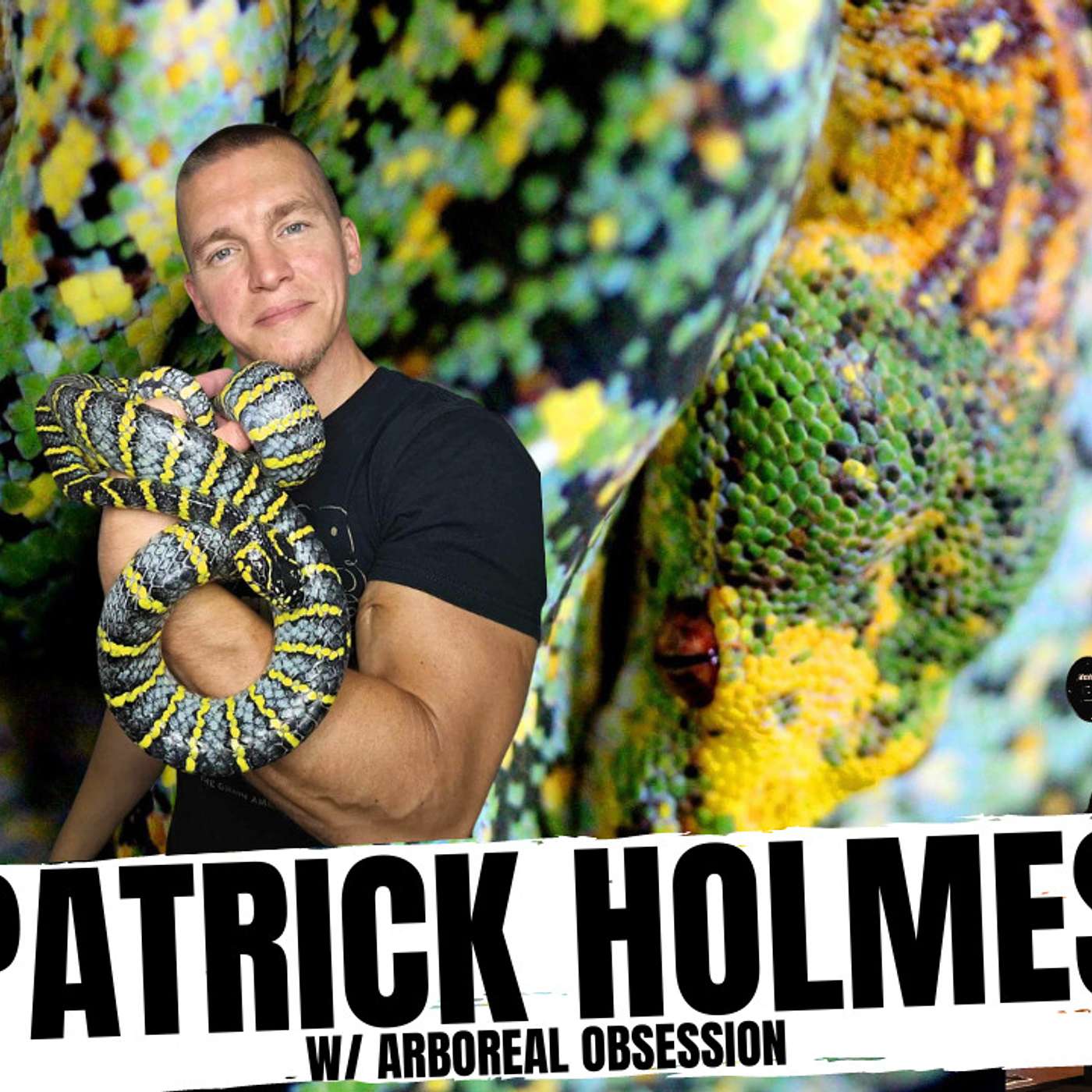 Going deeper than Chondros with Patrick Holmes | All In The Tree Tuesday