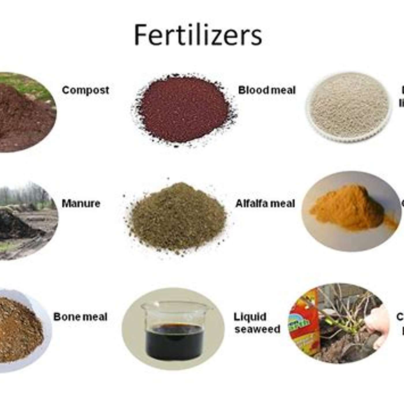 Organic fertilizer . better for you and the world episode artwork