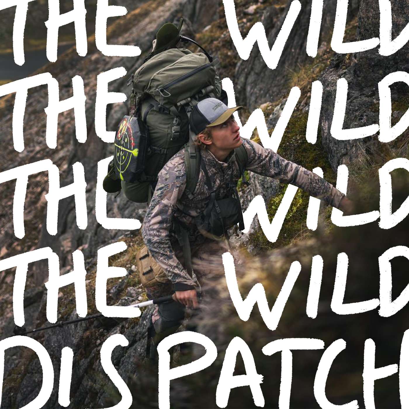 The Wild Dispatch