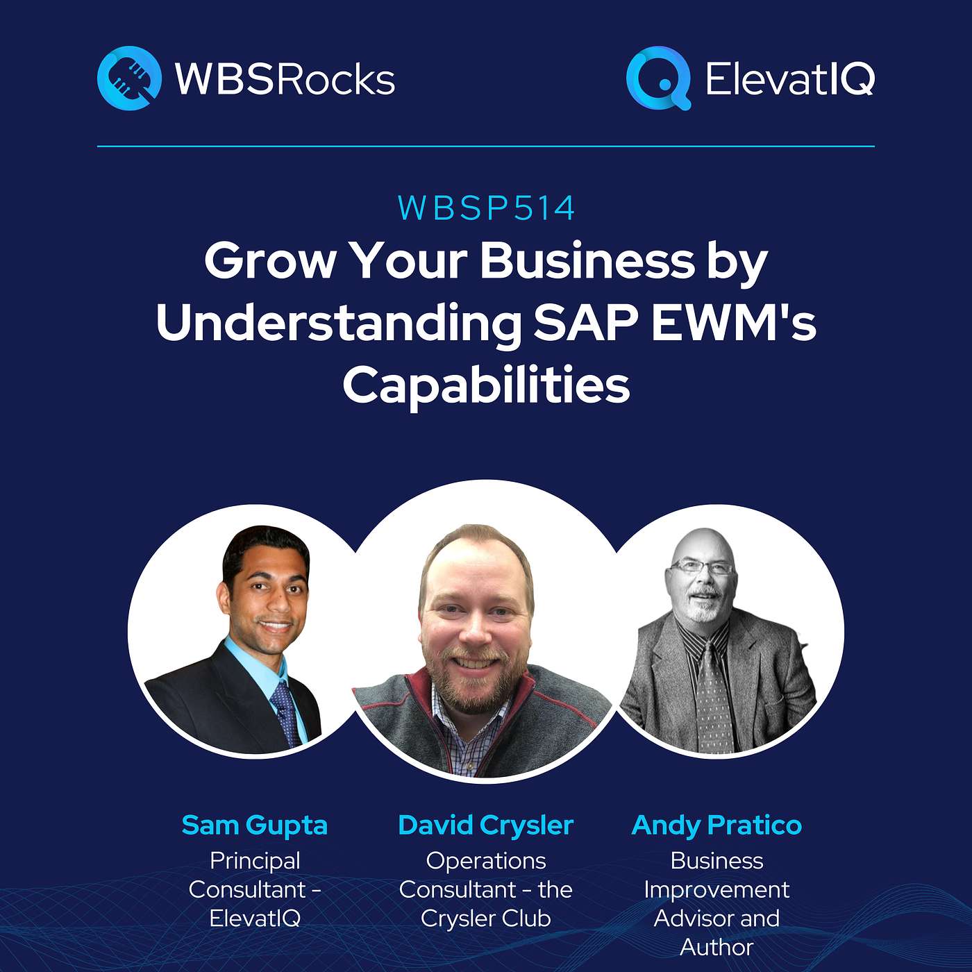 WBSP514: Grow Your Business by Understanding SAP EWM's Capabilities, an Objective Panel Discussion