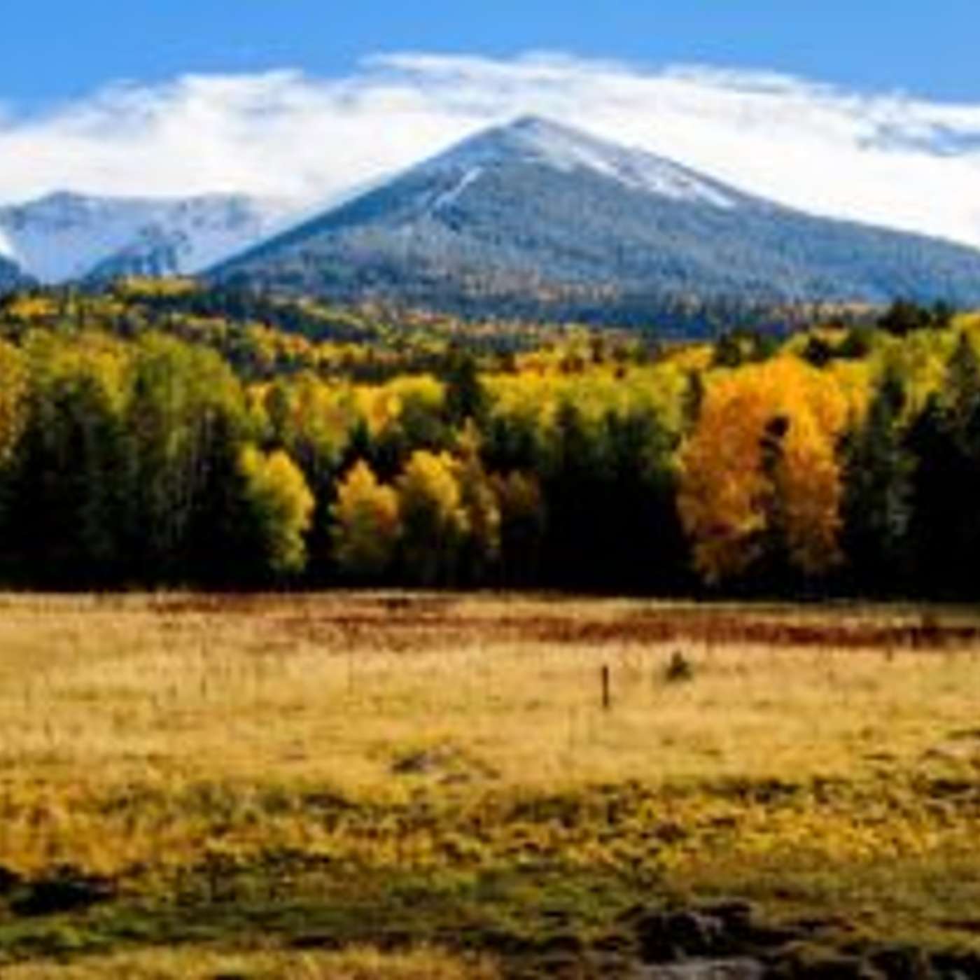 Flagstaff Reforestation Effort Seeks Community Volunteers episode artwork