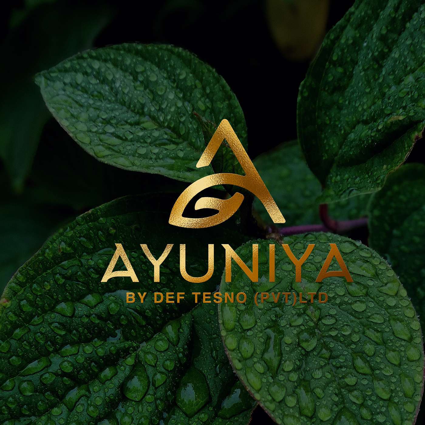the herbal podcast by Ayuniya