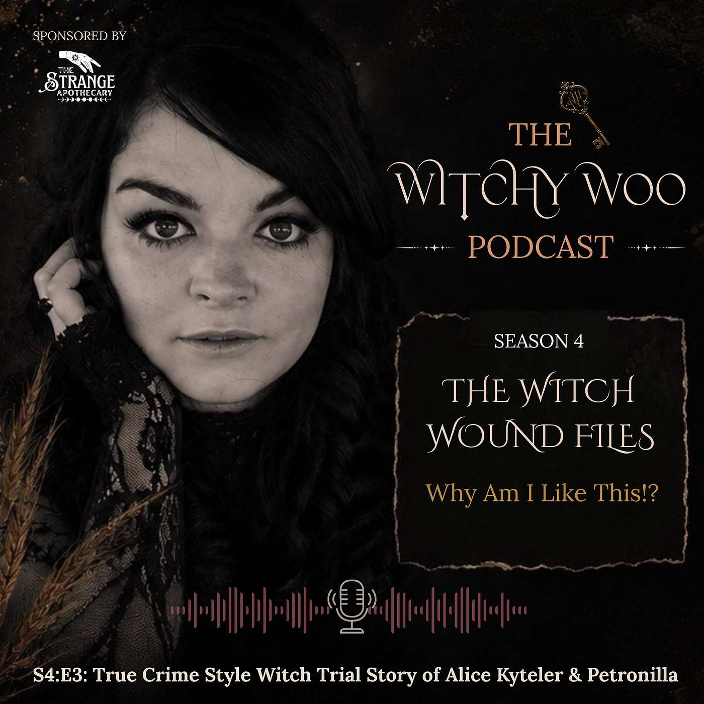 S4:E3 - True Crime Style Witch Trial Story of Alice Kyteler & Petronilla, in 1324 Ireland episode artwork