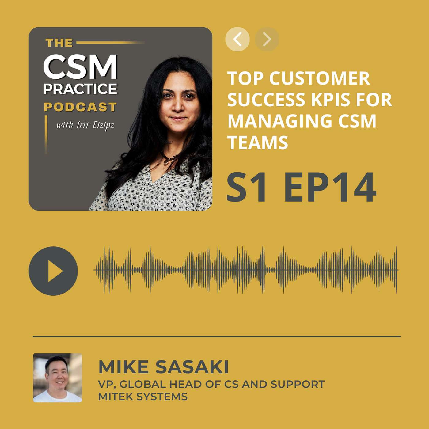 CSM Practice - The Customer Success Podcast