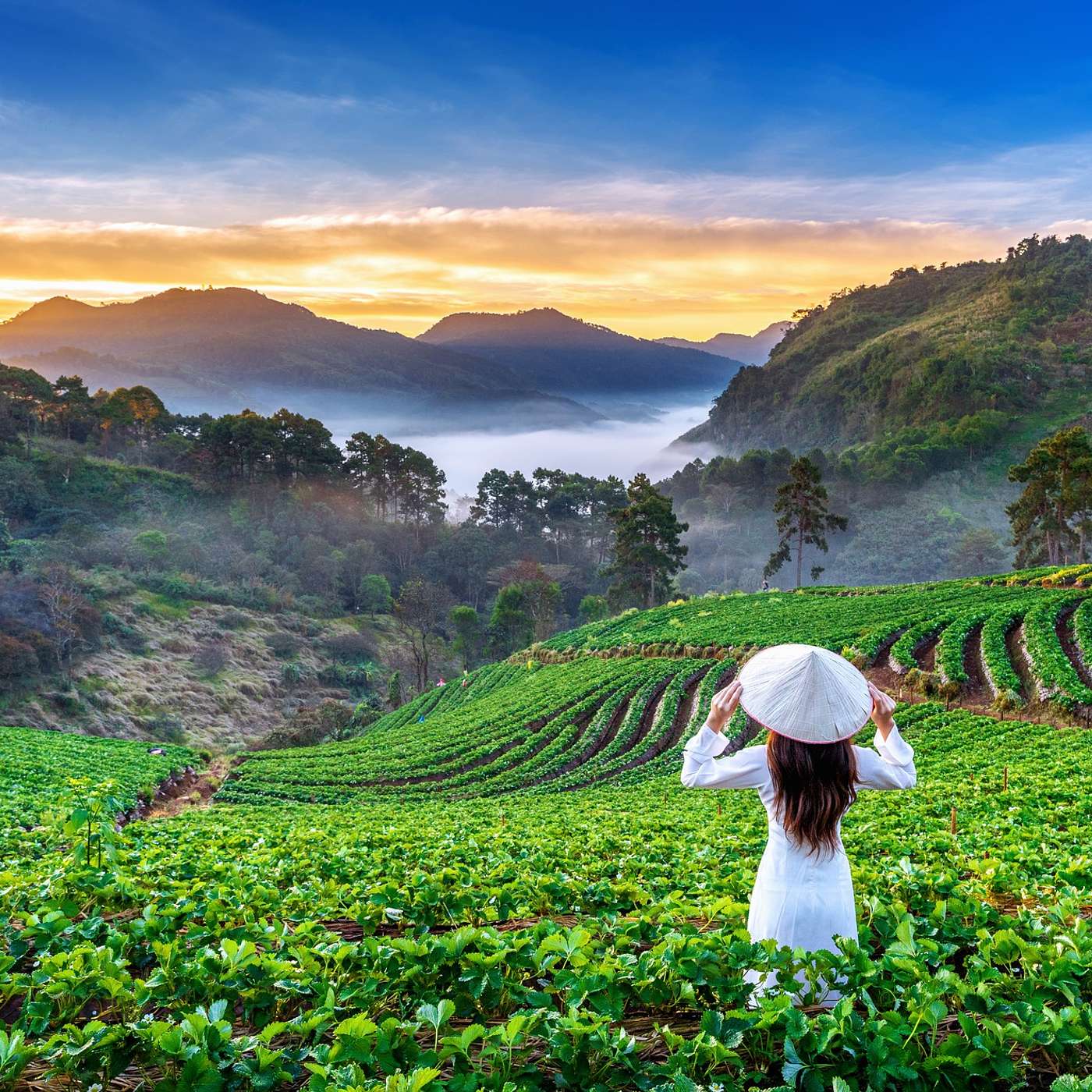 Smart Travel Guide for World Explorers