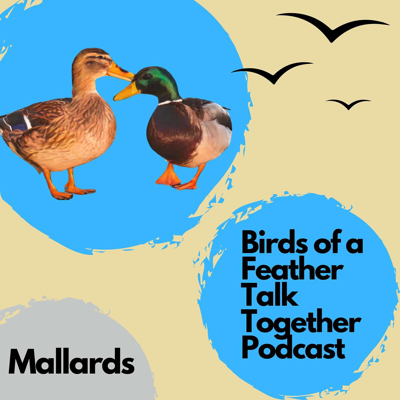 Birds of a Feather Talk Together