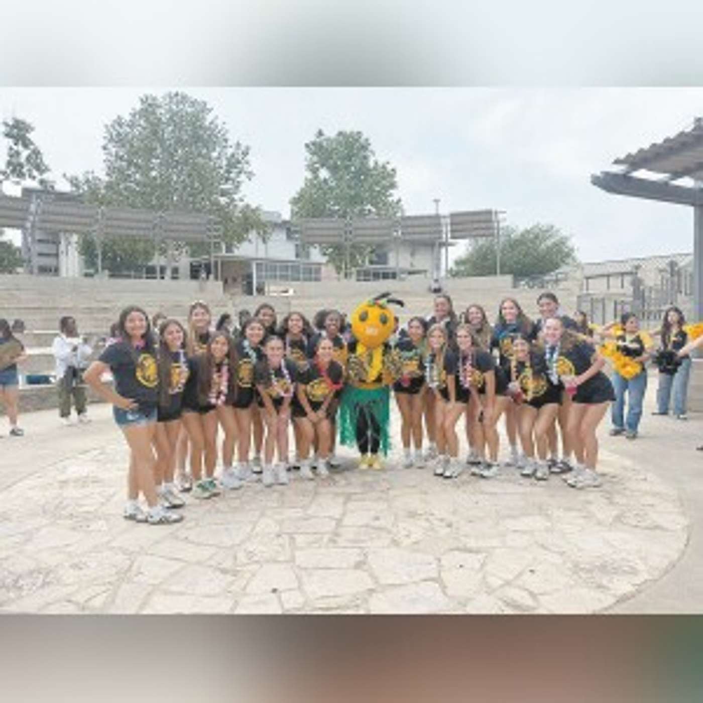 LADY HORNETS ARE AREA CHAMPIONS episode artwork