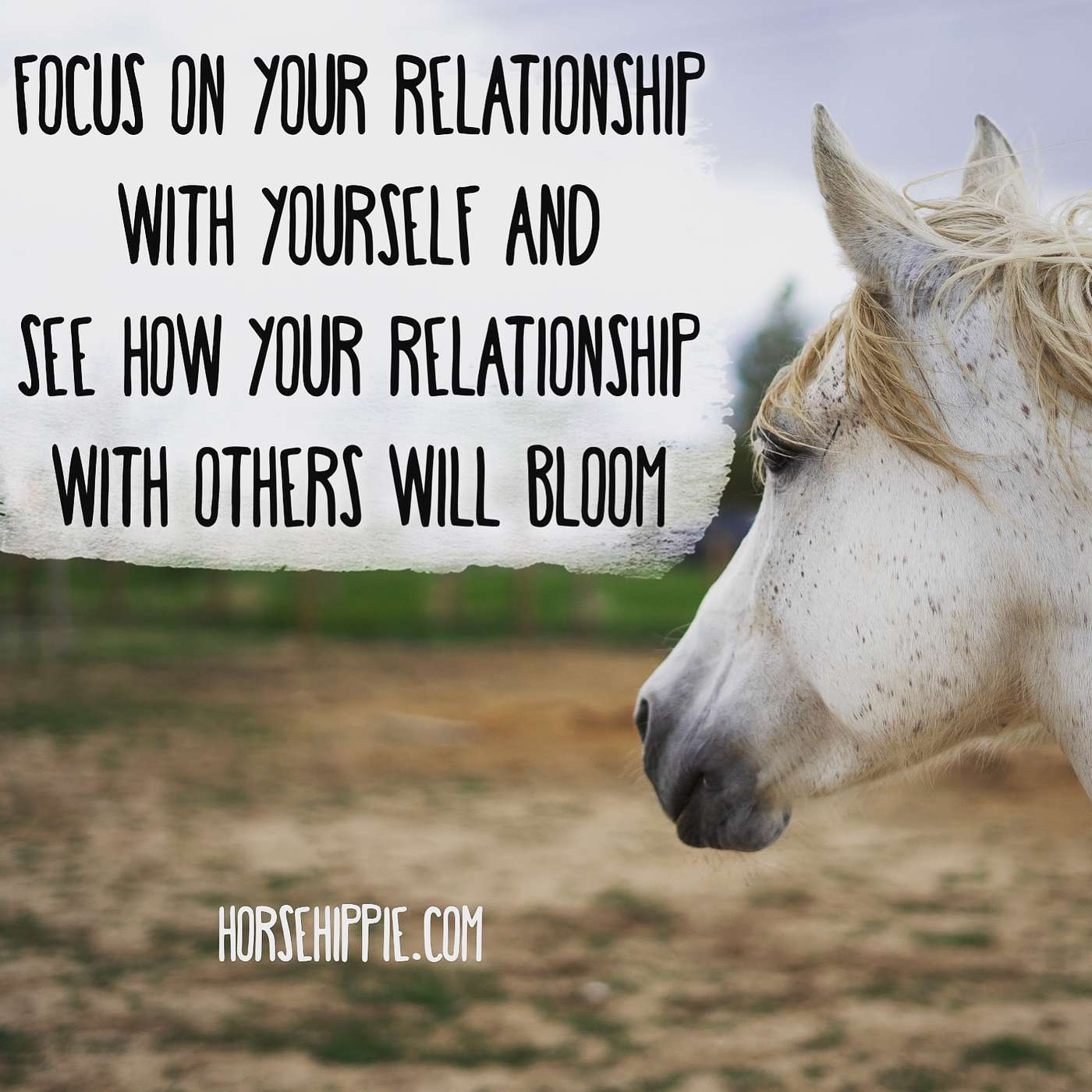 Your Relationship With Yourself episode artwork