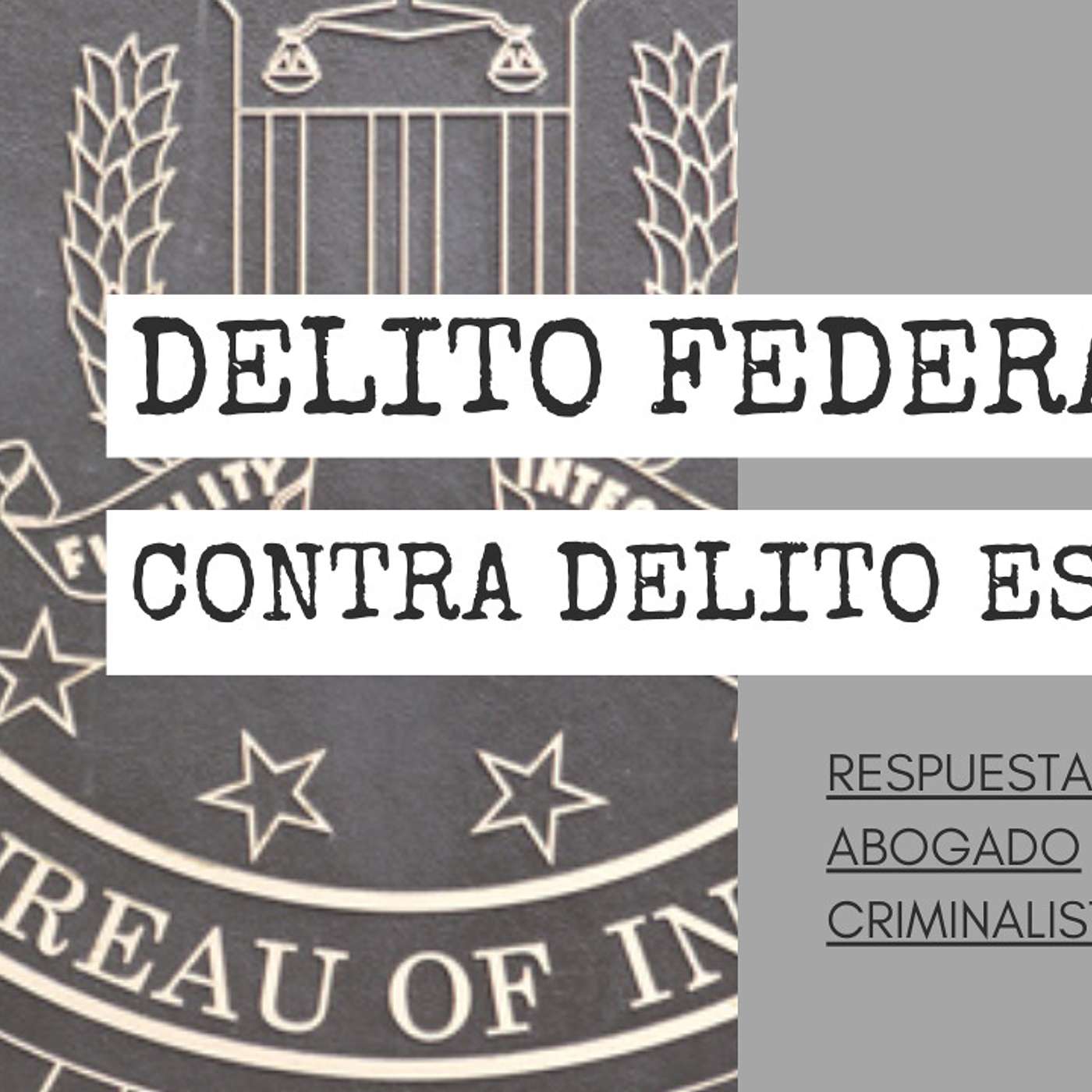 Abogado Criminalista Área de la Bahía