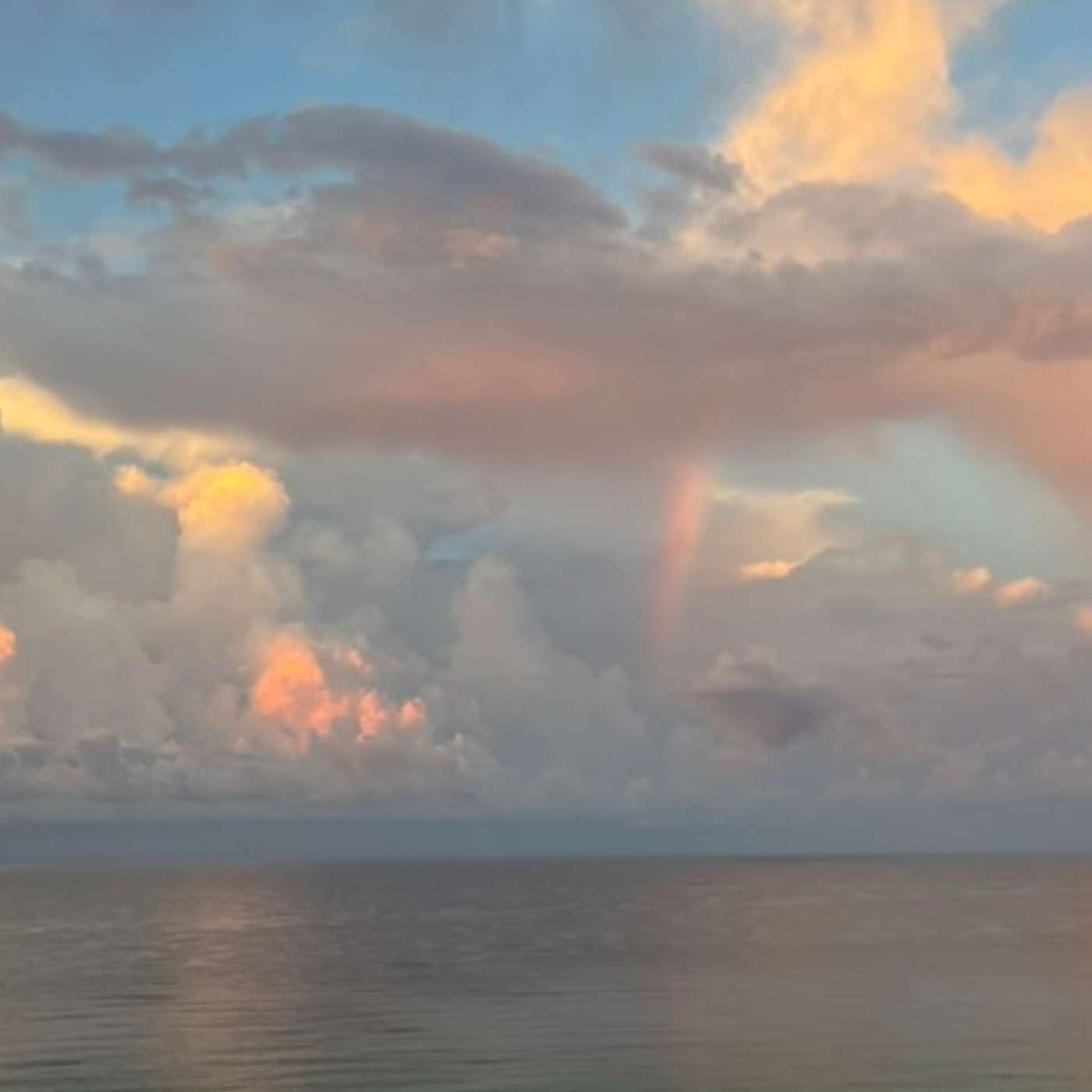 SELDI Podcast with Tony Williams