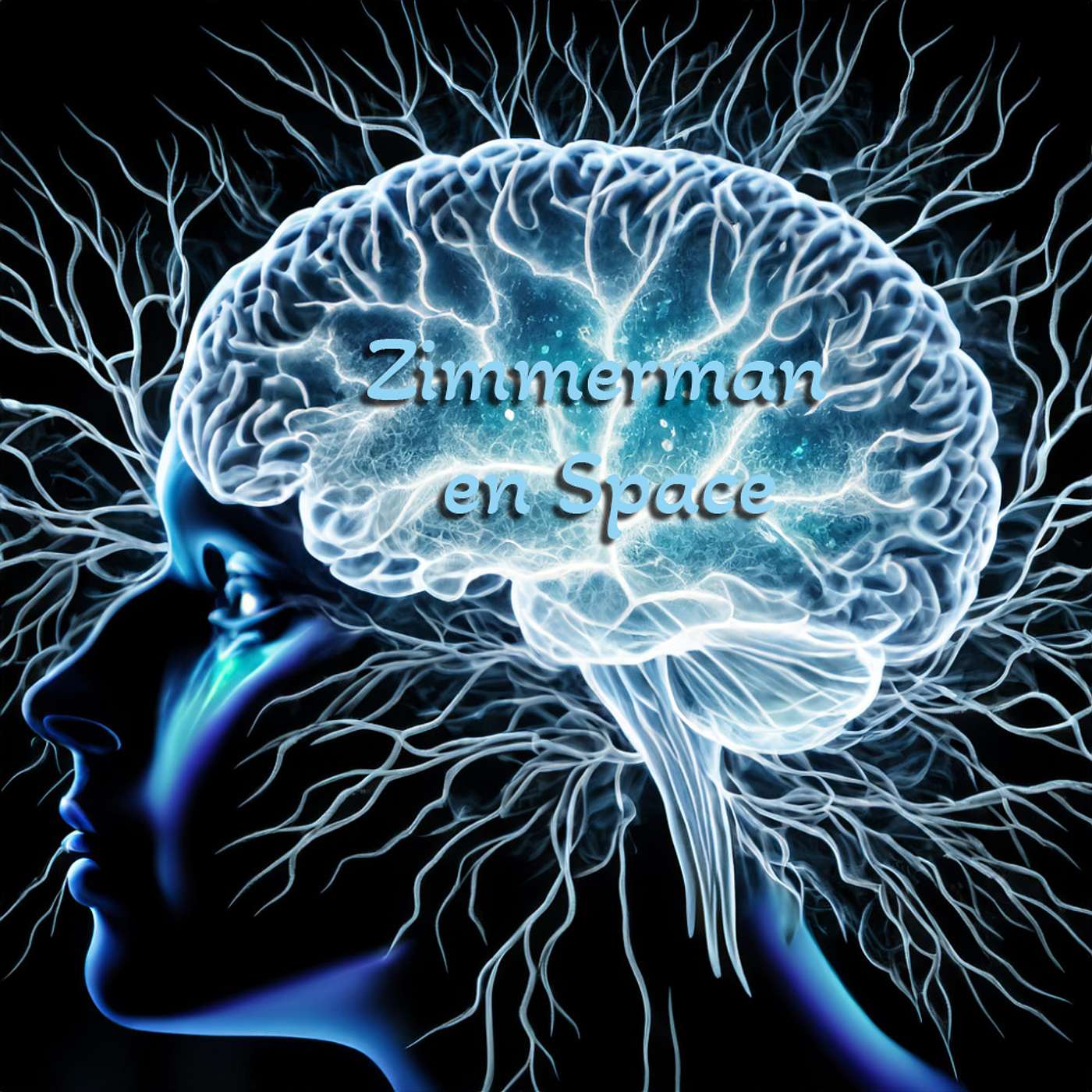 Zimmerman en Space