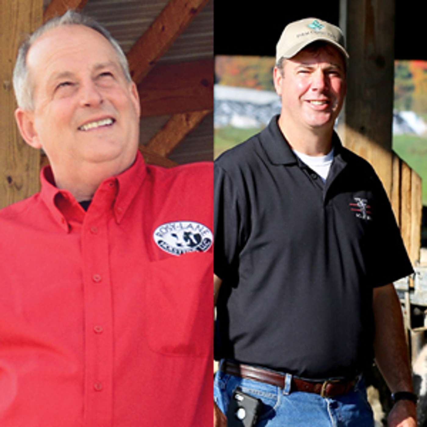 DairyVoice Podcast