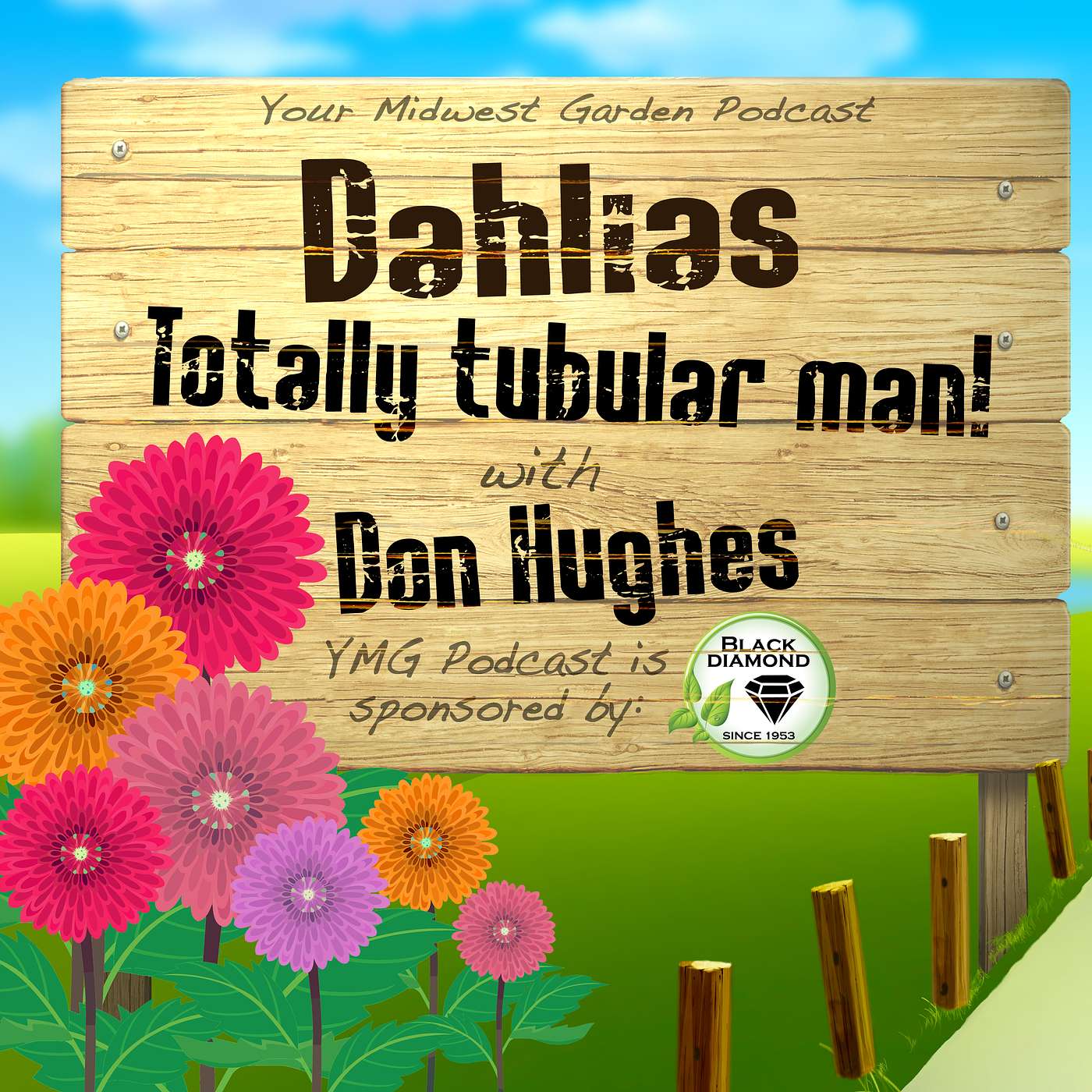 Dahlias - Totally Tubular Man!