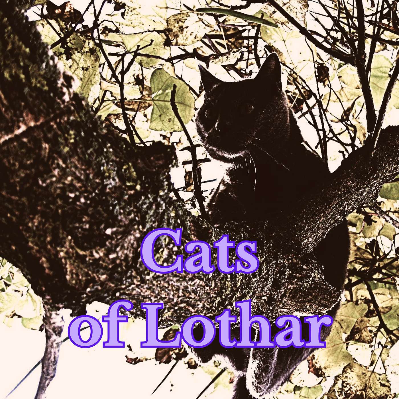 Cats of Lothar episode artwork