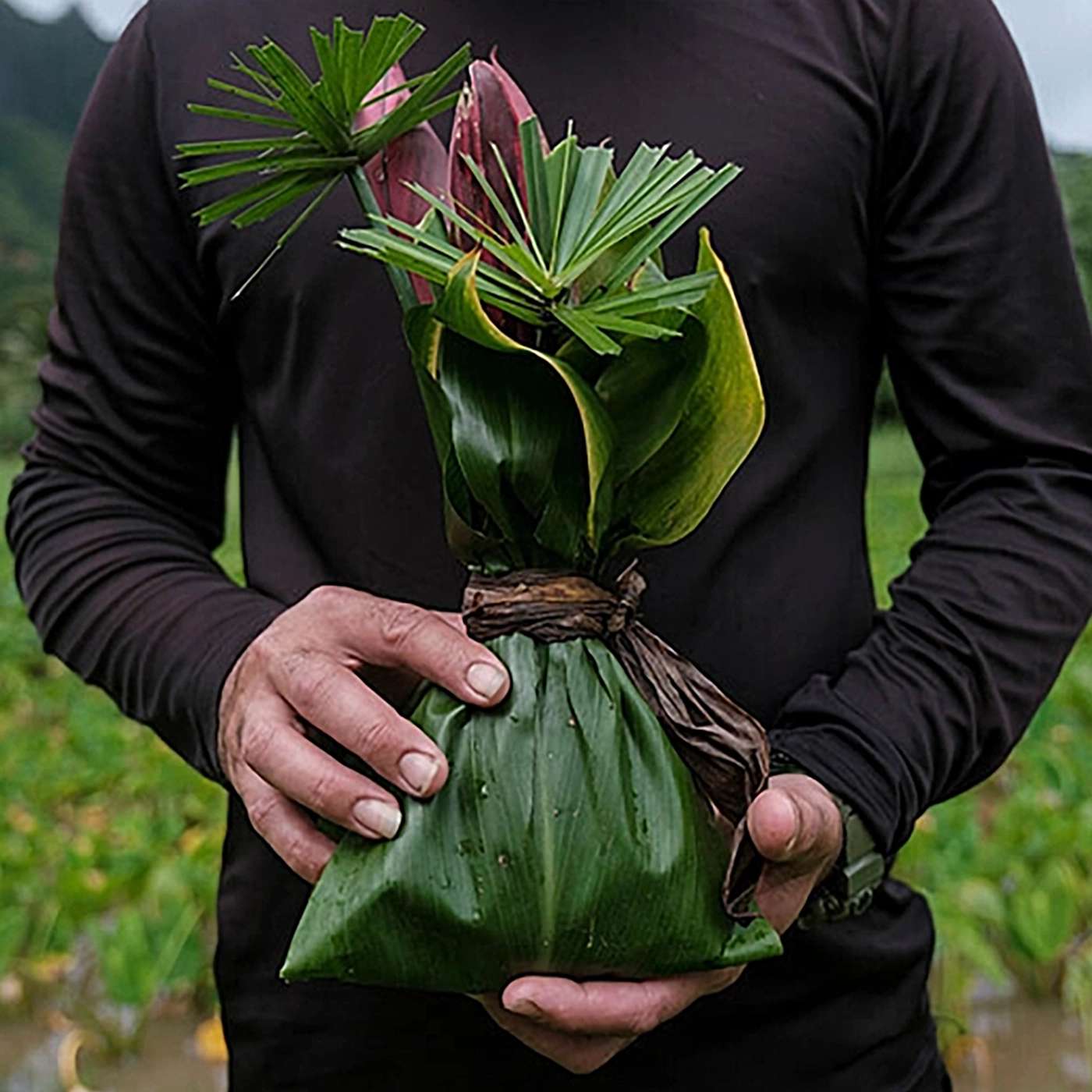 Seedcast