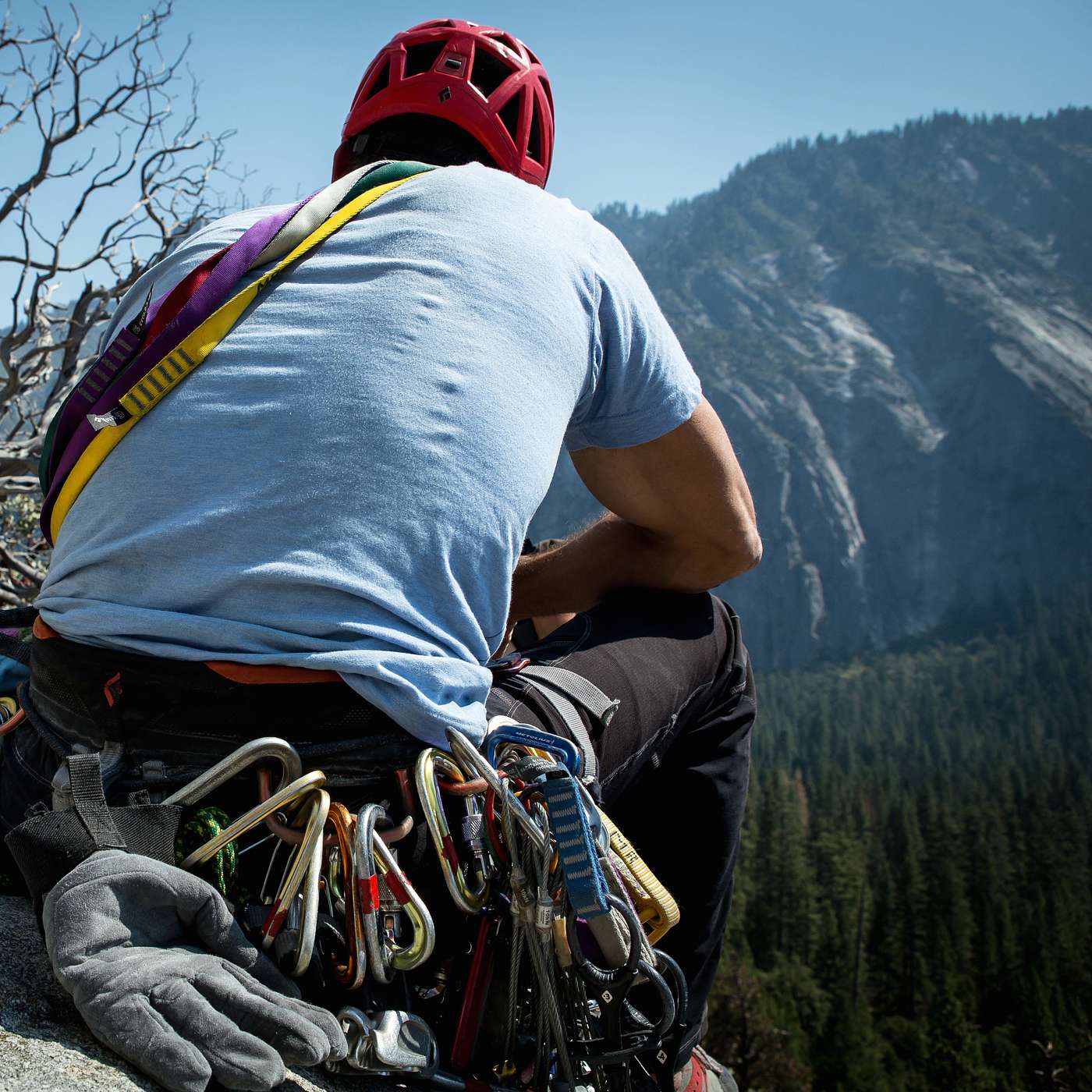 Mountain Wellness Podcast