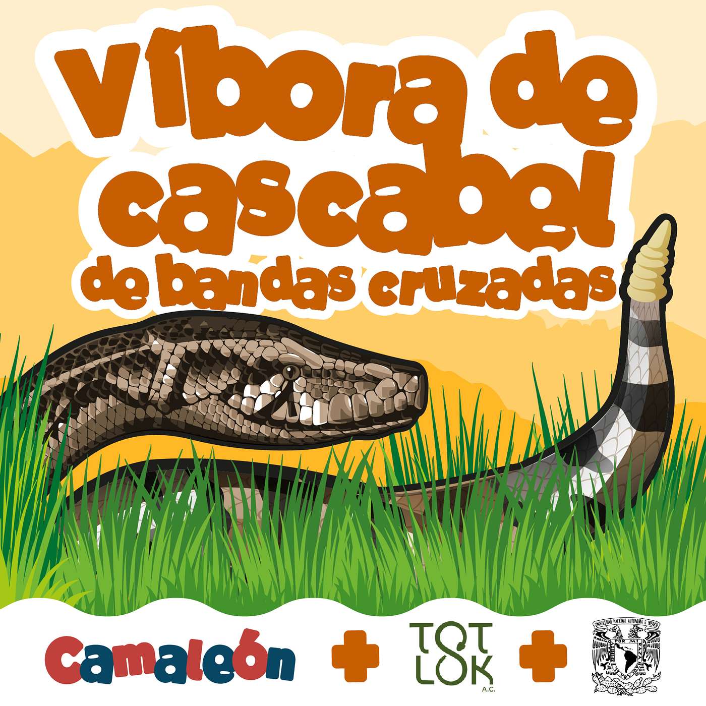 Víbora de Cascabel de Bandas Cruzadas: Sonido, Veneno y Adaptación al Frío episode artwork