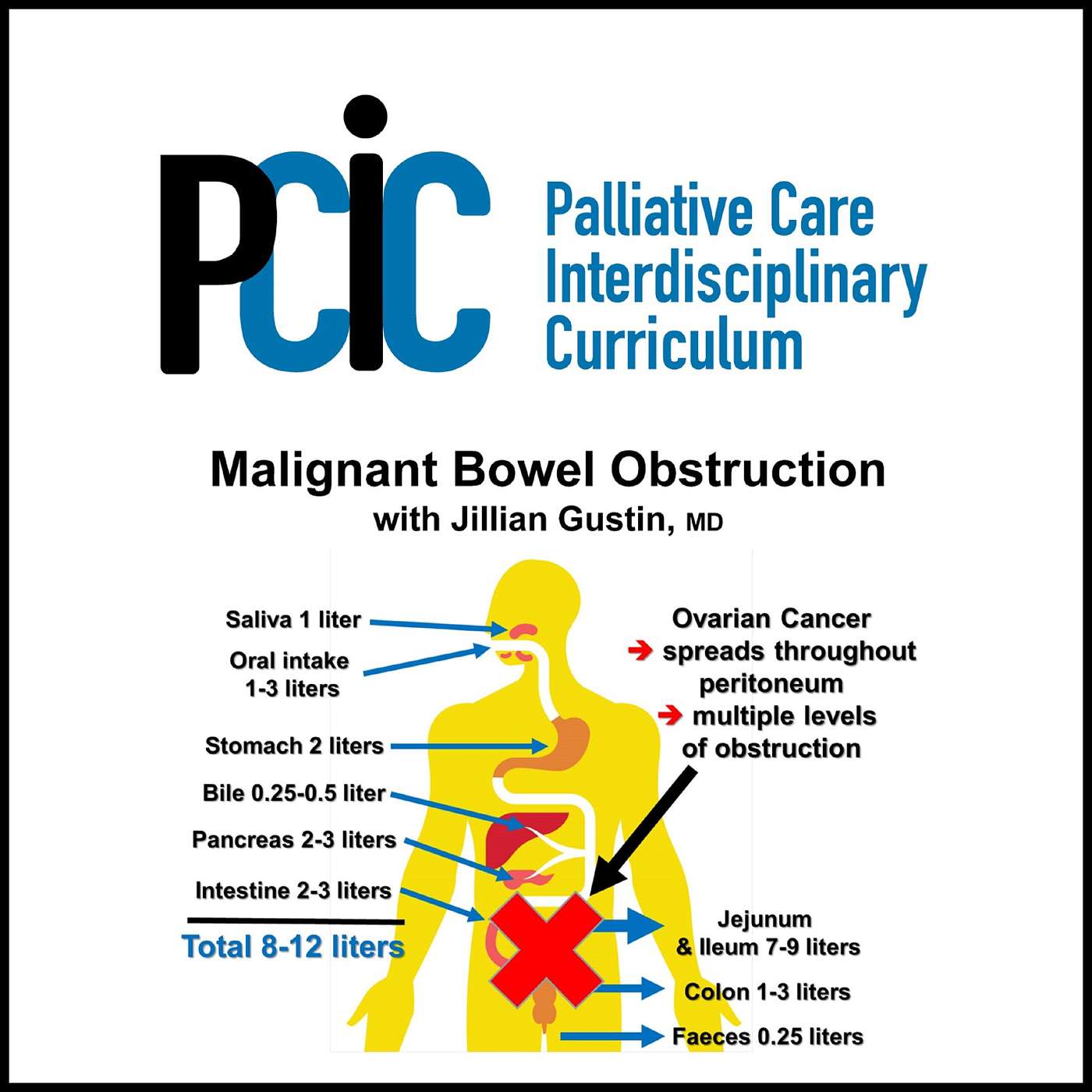 Palliative Care Interdisciplinary  Curriculum