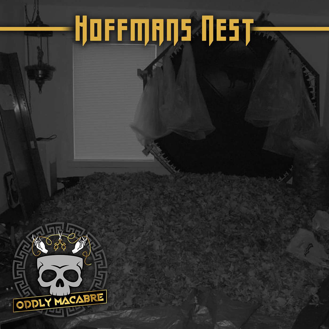 S4E88: Hoffman's Nest Mini