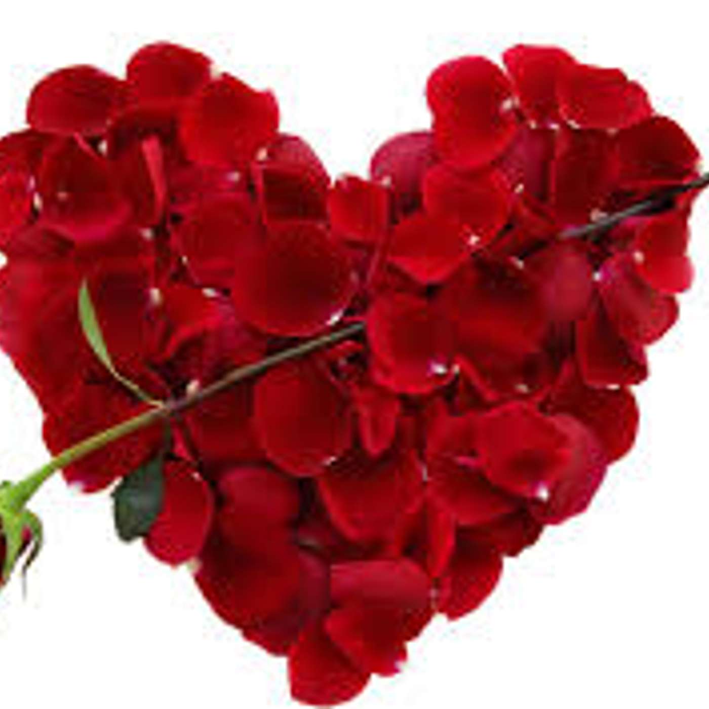 Where did Valentine's Day Come From?