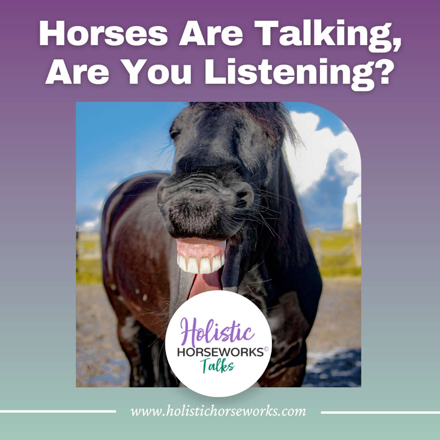 Holistic Horseworks Talks with April Love