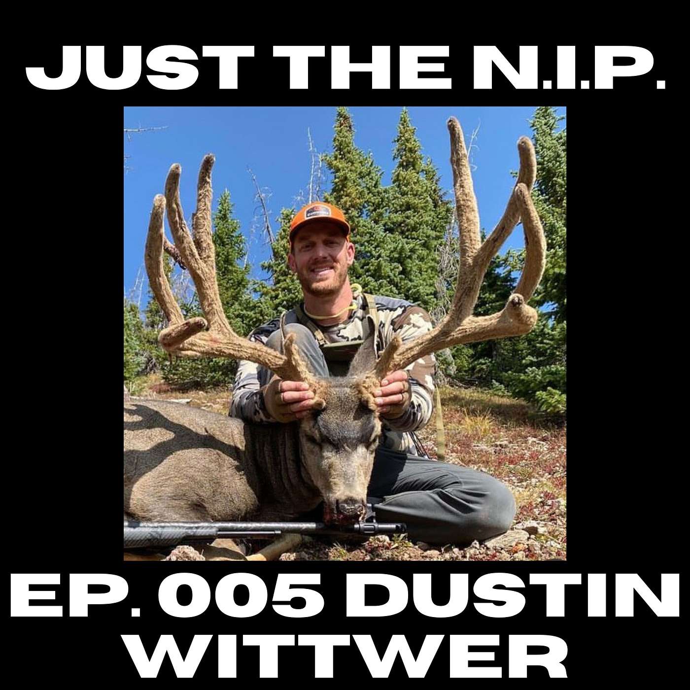 Just the NIP